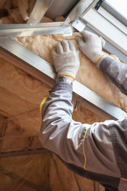Best Insulation for New Construction  in Petal, MS