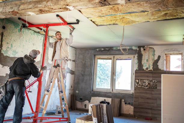 Best Home Insulation Services  in Petal, MS