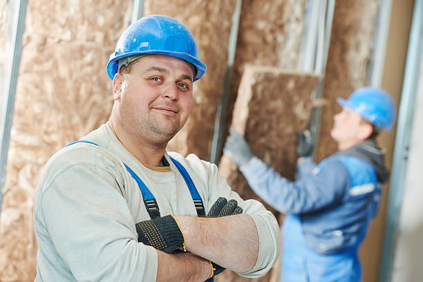 Best Crawl Space Insulation  in Petal, MS