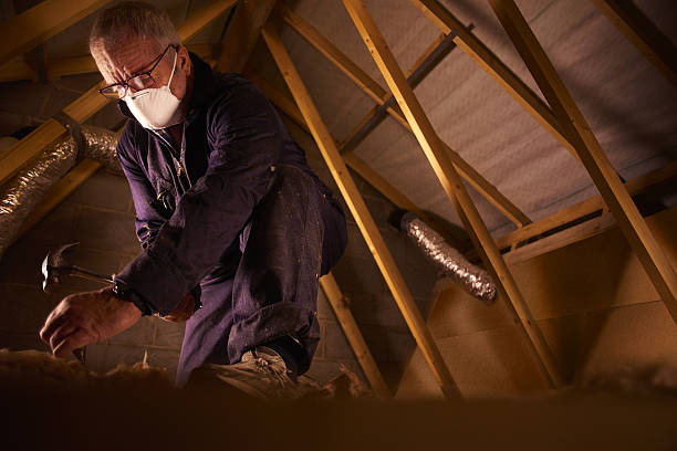 Best Soundproof Insulation Installation  in Petal, MS