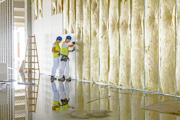 Best Professional Insulation Contractor  in Petal, MS